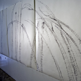 Knotted Drawings