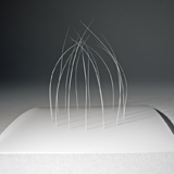 Whisker Landscapes