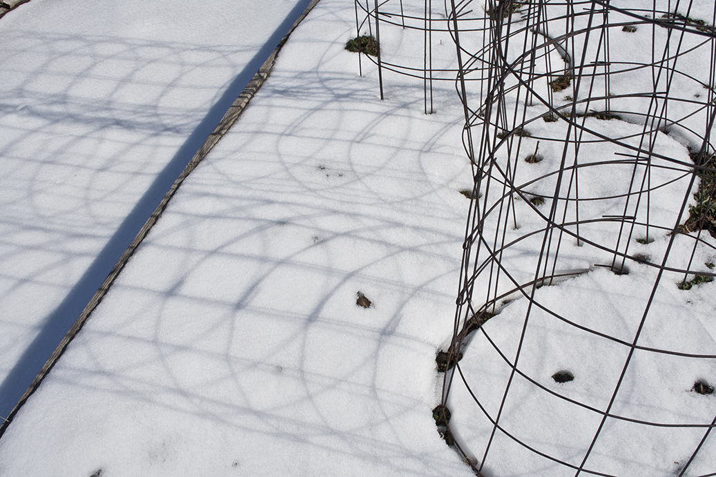 Snow Notes Garden 5