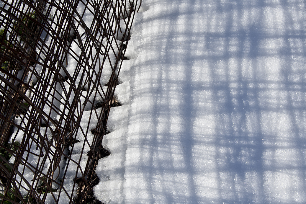 Snow Notes Garden 7